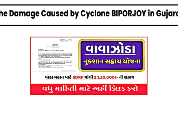 The Damage Caused by Cyclone BIPORJOY in Gujarat