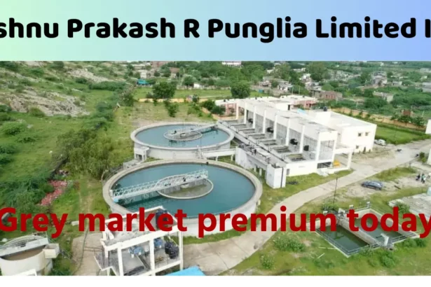 Vishnu Prakash R Punglia Limited IPO GMP,